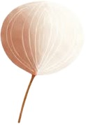 a white paper lantern with a brown string.jpg